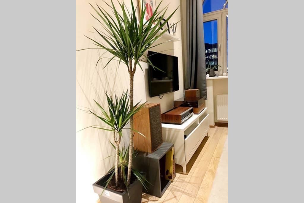 Апартаменты Retro Inspired Minimalist Studio Apartment Каунас-6