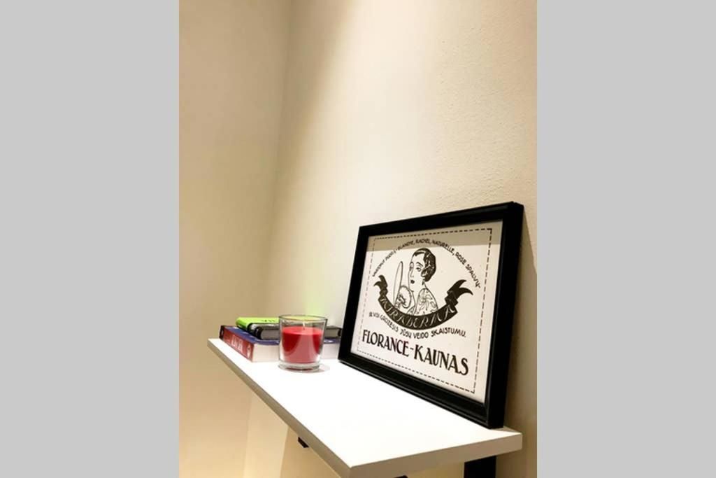 Апартаменты Retro Inspired Minimalist Studio Apartment Каунас-43