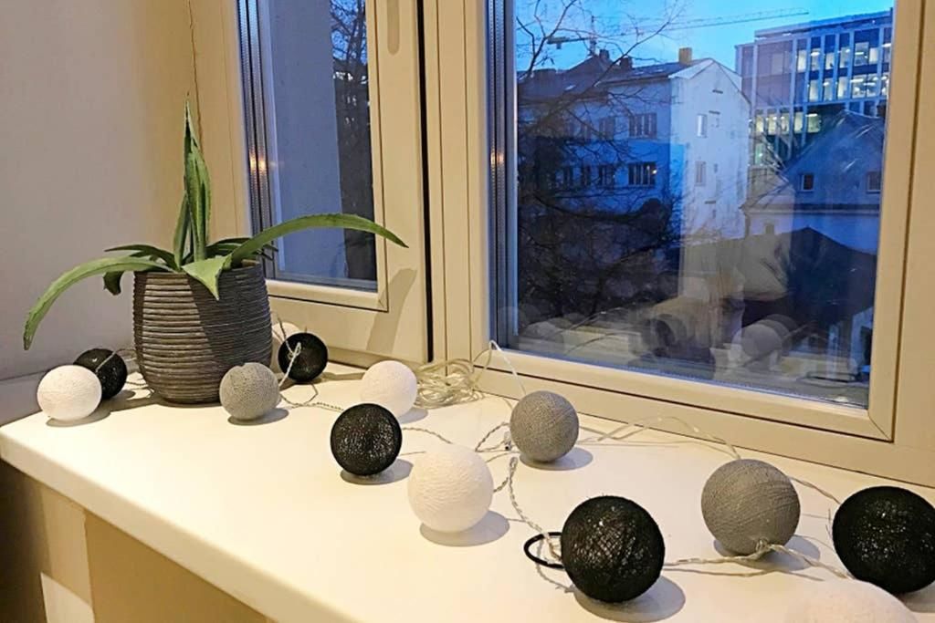 Апартаменты Retro Inspired Minimalist Studio Apartment Каунас-55